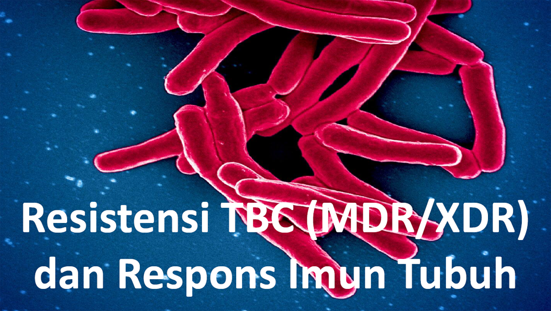 Resistensi TBC (MDR/XDR) dan Respons Imun Tubuh