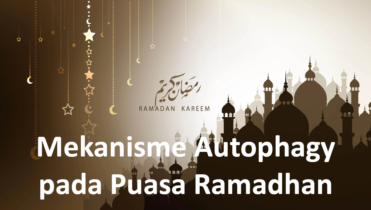 Mekanisme Autophagy pada Puasa Ramadhan